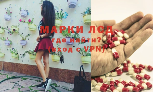 крисы Наволоки