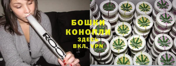 крисы Наволоки