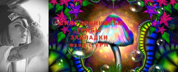 ГАЛЛЮЦИНОГЕННЫЕ ГРИБЫ Сясьстрой