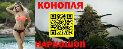 гидропоника Будённовск