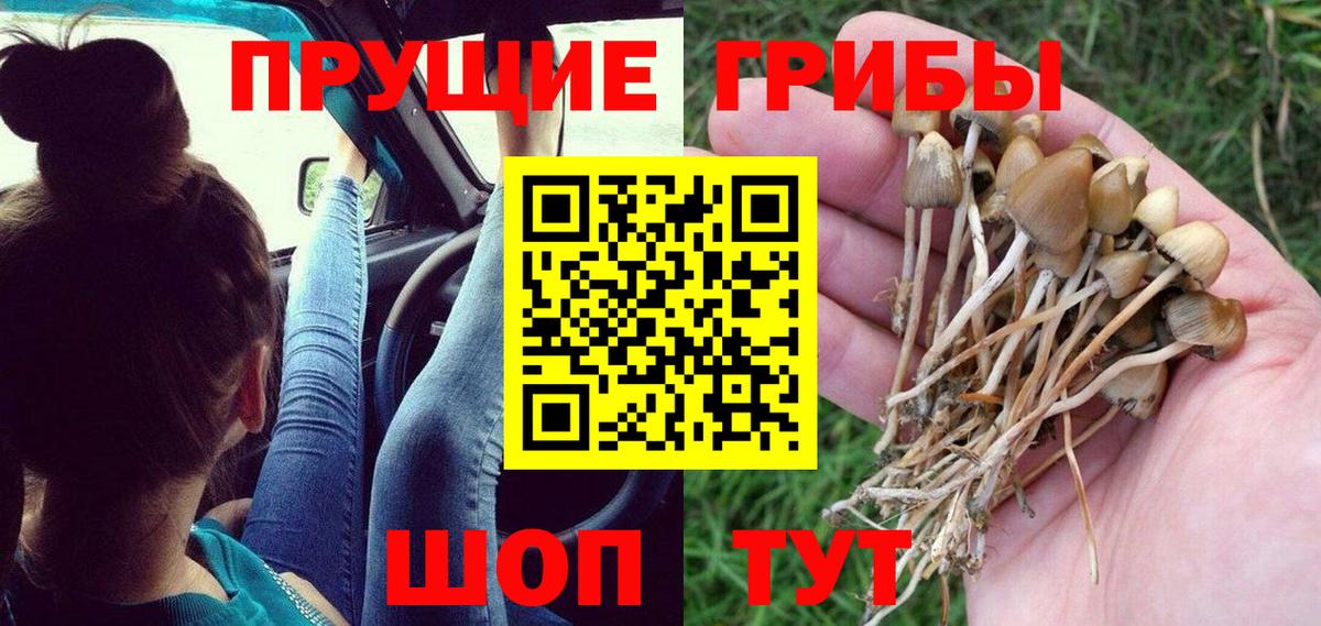 Псилоцибиновые грибы мухоморы Джанкой