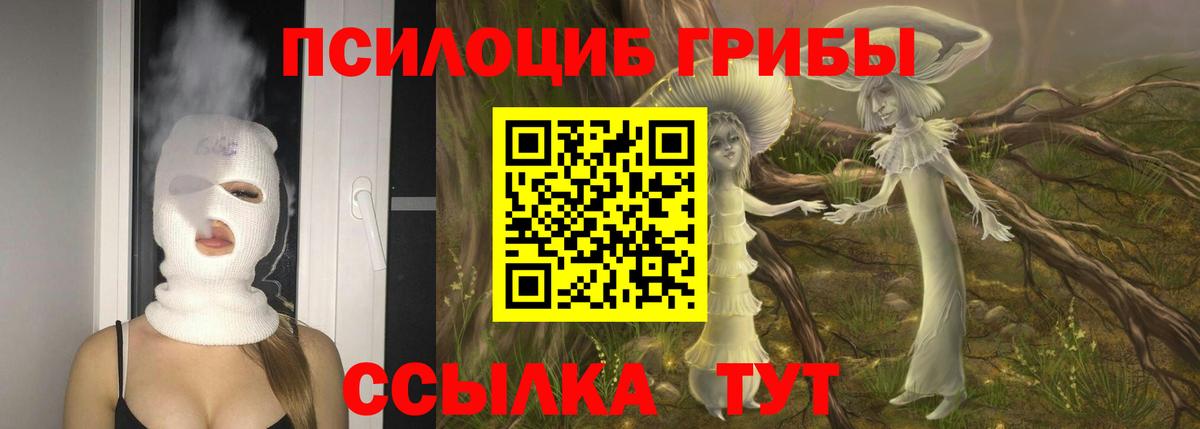наркота  Вход с VPN  Джанкой  Псилоцибиновые грибы Cubensis 